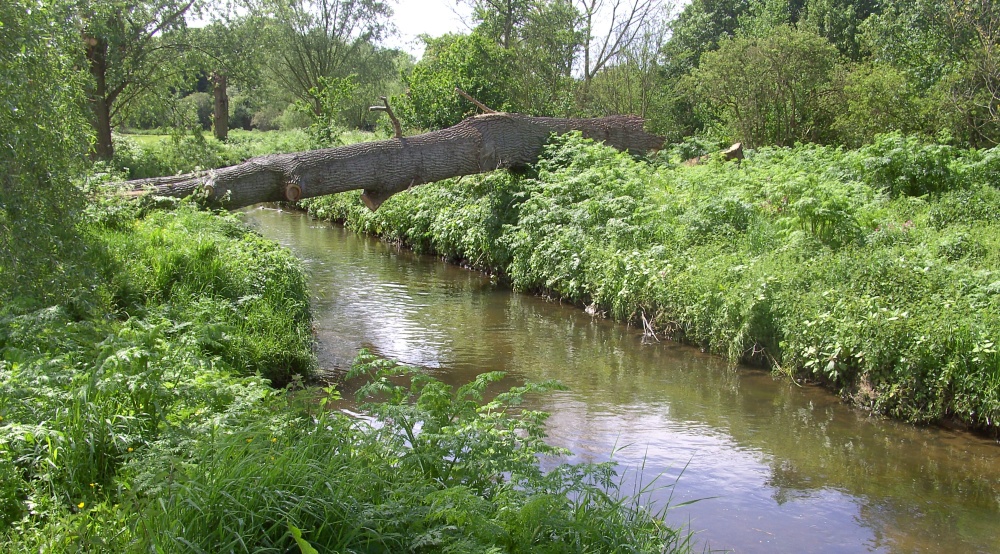 Walesby, Nottinghamshire