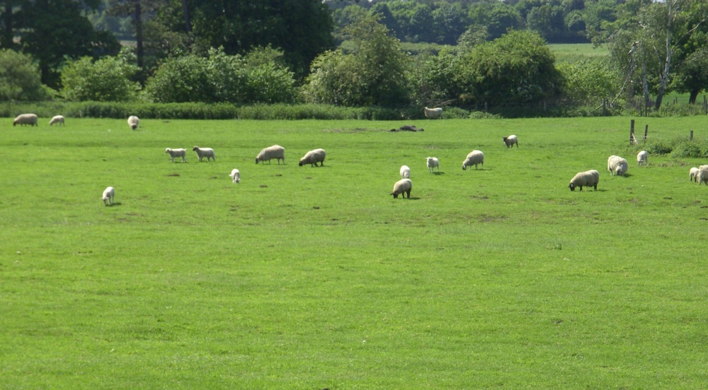 Walesby, Nottinghamshire