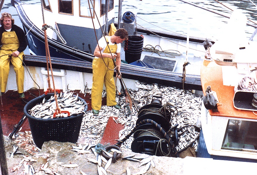 Lyme Regis in Dorset