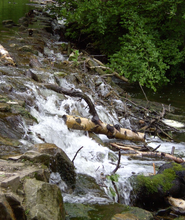 Clumber Park in Nottinghamshire a National Trust property near the Clumber Bridge.