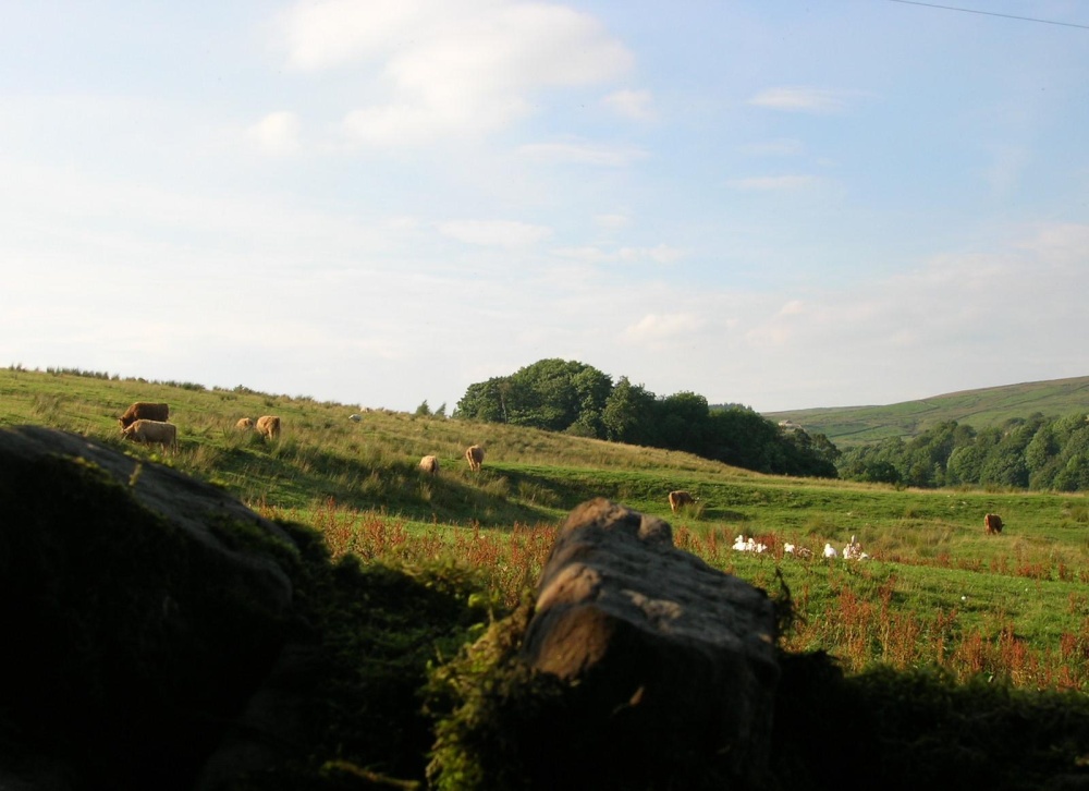 Alston Moor, Alston, Cumbria photo by Erika