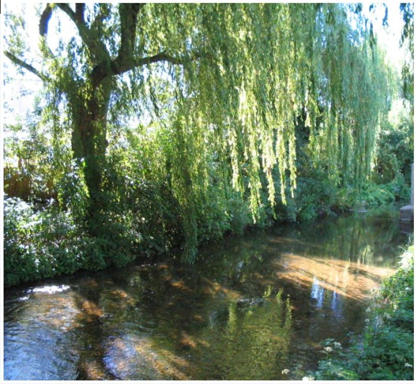 River Lea by the small bridge in Batford, Harpenden.
