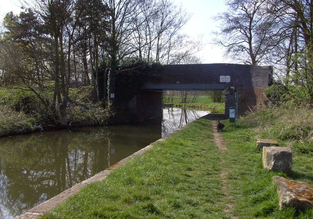 Photograph of Chesterfield Canal in Nottinghamshire runs past the Babworth Woods, these are views as we walked.