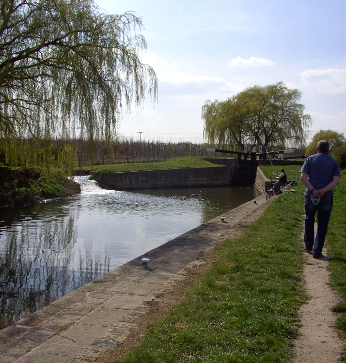 Chesterfield Canal in Nottinghamshire runs past the Babworth Woods, these are views as we walked.