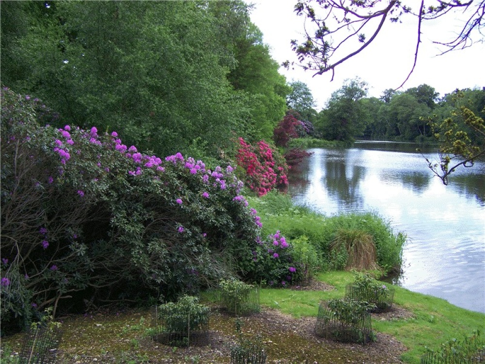 Sheffield Park, East Sussex