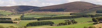 Photograph of Craigievar View