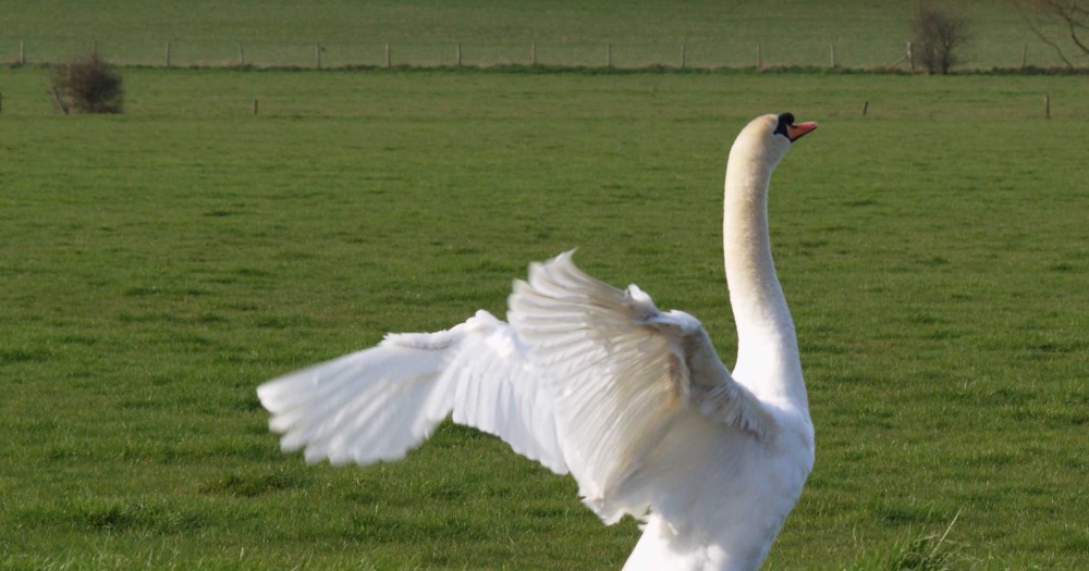 Upper Heyford, Oxfordshire