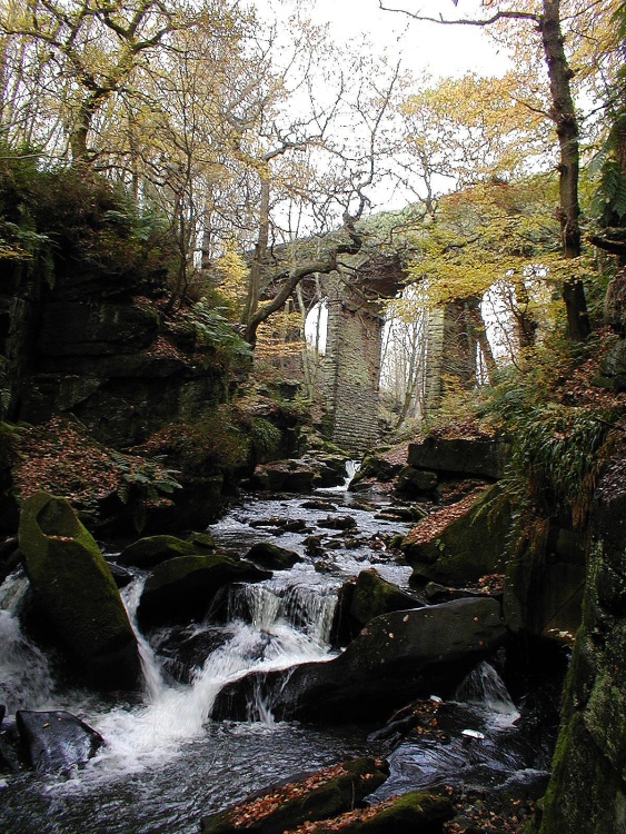 Healey Dell, Whitworth, Lancashire