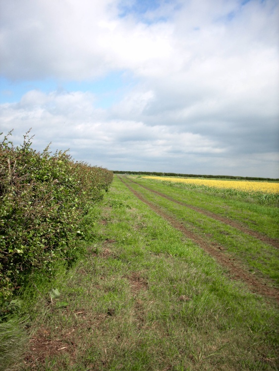 Grayingham Grange, Lincolnshire