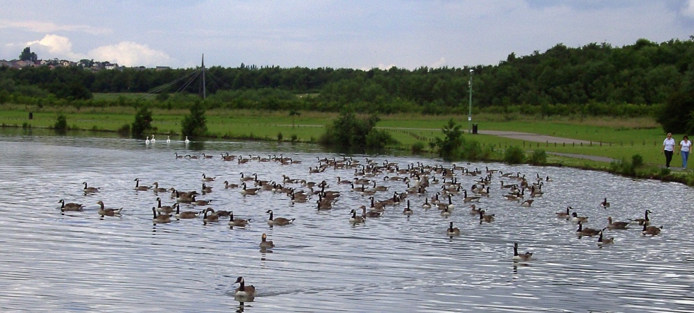 Rother Valley Country Park in South Yorkshire