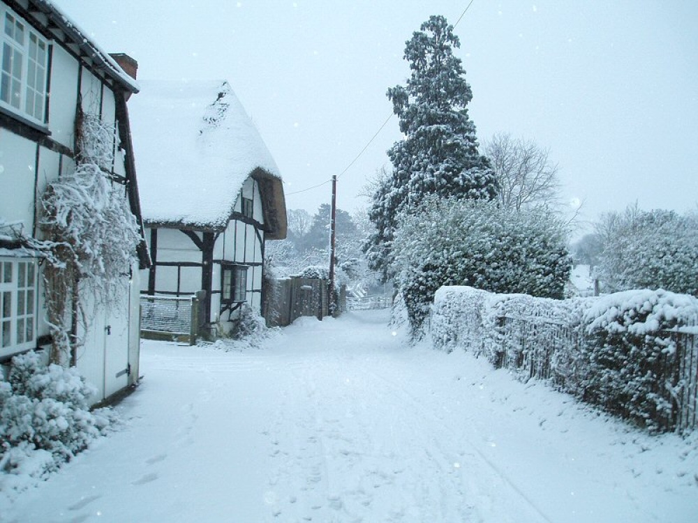 Photograph of Winter Snows