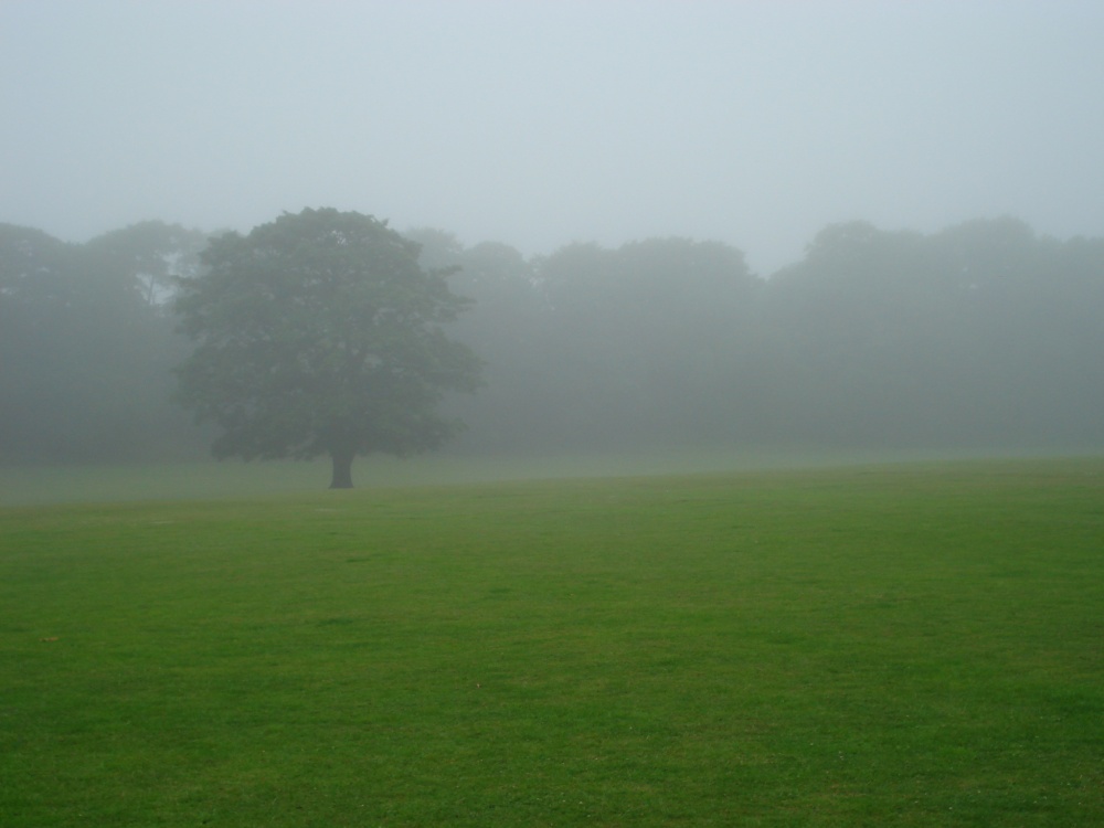 Photograph of Seaton Park, Aberdeen