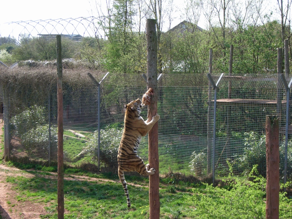 South Lakes Wildlife Park, Dalton in Furness