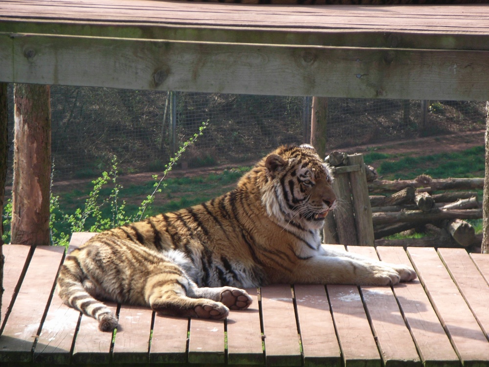 South Lakes Wildlife Park, Dalton in Furness