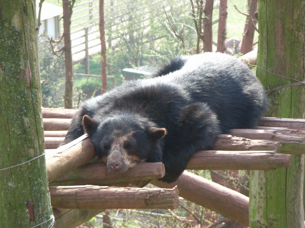 South Lakes Wildlife Park, Dalton in Furness