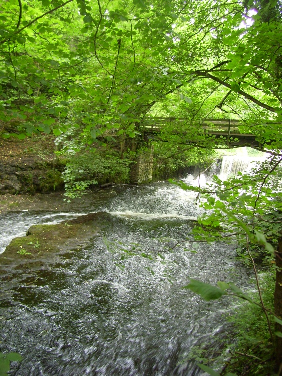 The  Weir that fed the former Cress Brook Mill - The Peak District