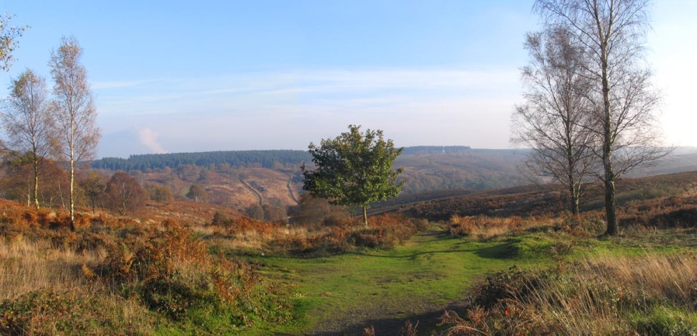 Cannock Chase Country Park, Staffordshire