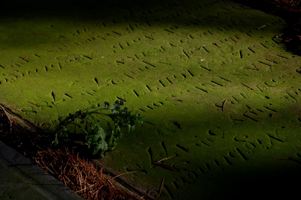 Kingsbury, Warwickshire