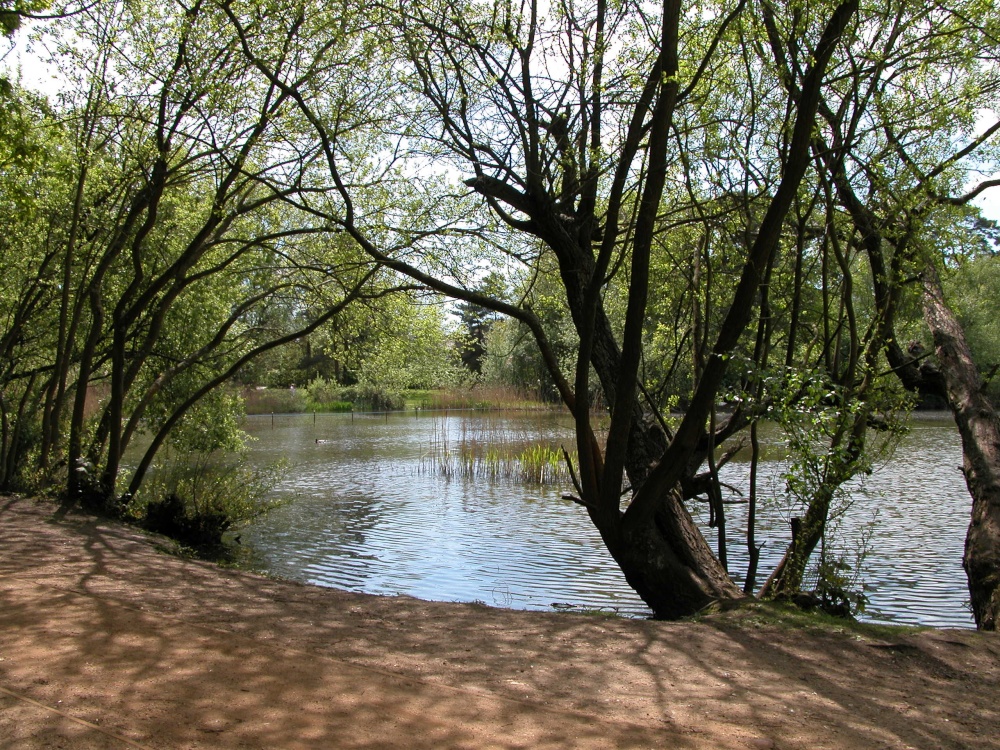 Petersfield Heath, Petersfield, Hampshire