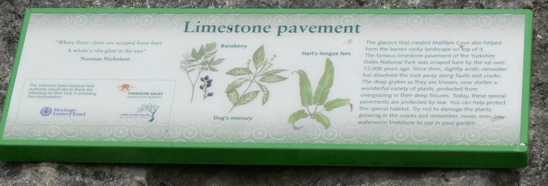 Limestone Pavement Plaque