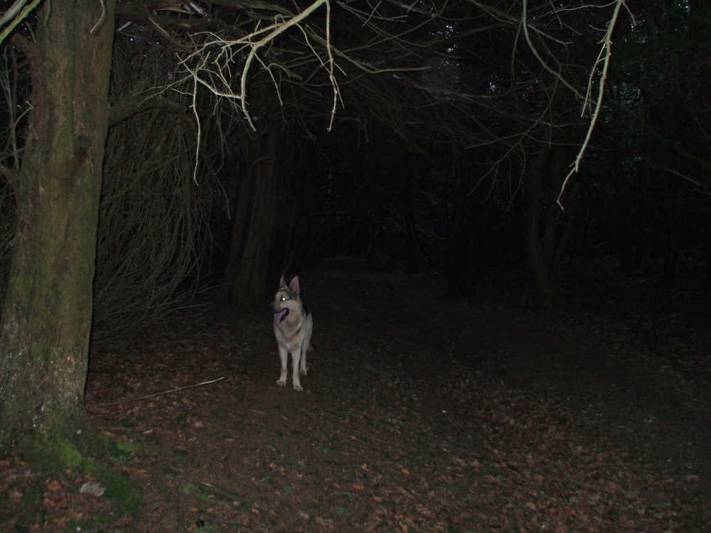 West Runton, Norfolk