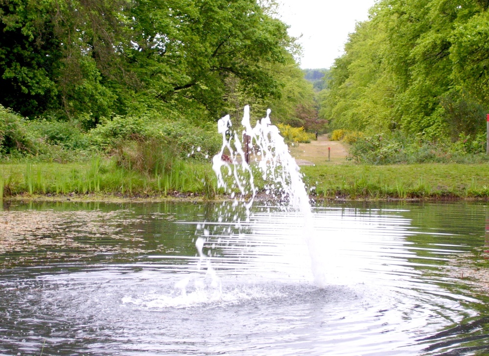 Brandon Park ornamental lake
