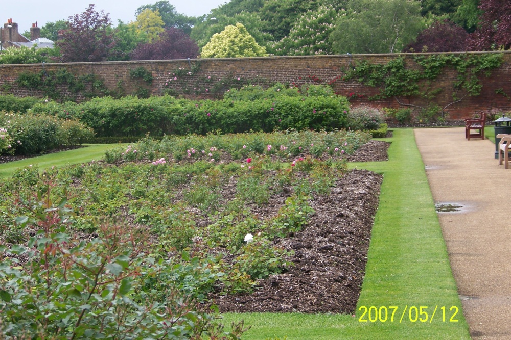 Hampton Court Palace Gardens, East Molesey, Surrey