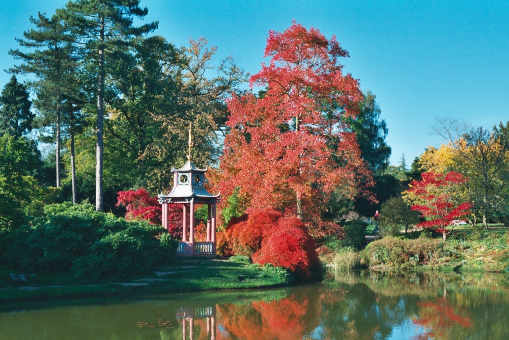 Photograph of Chinese Water Garden in grounds at Cliveden