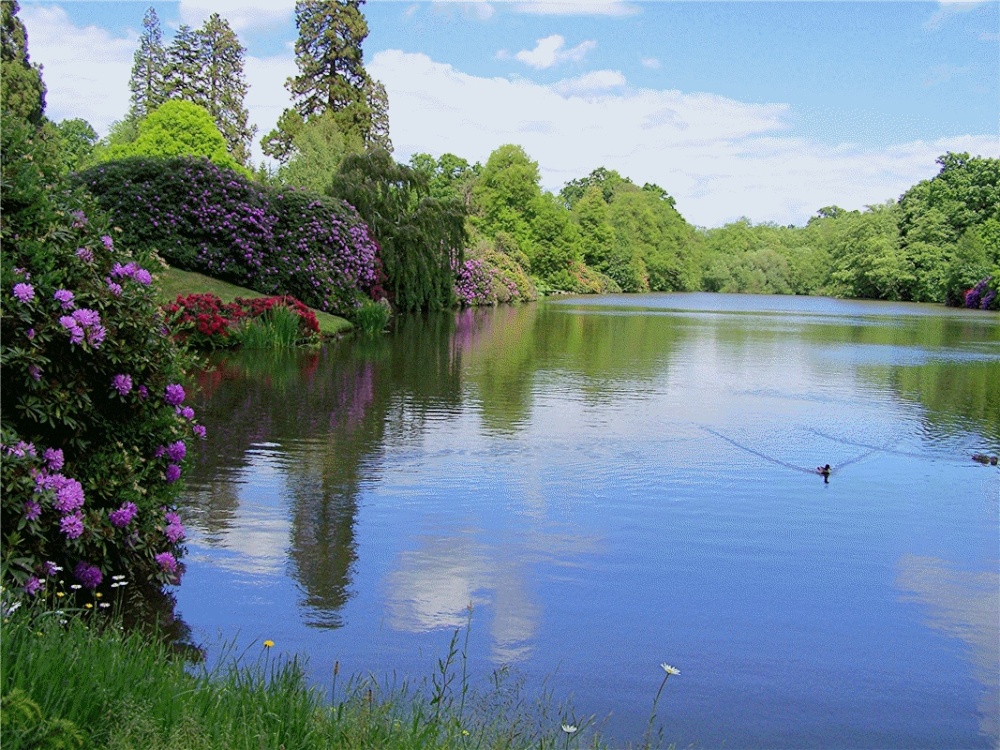 Looking over the lakes at Sheffield Park, East Sussex photo by Mick Bean