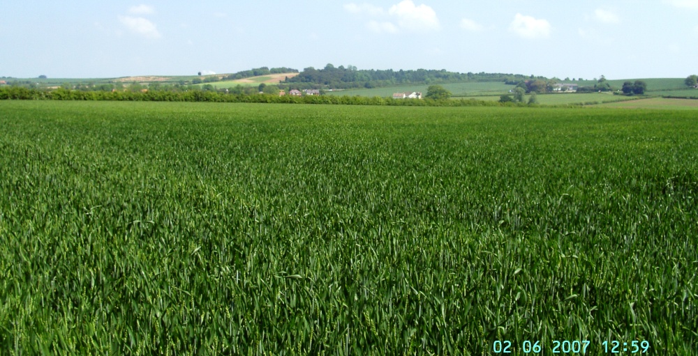 Milton, Nottinghamshire