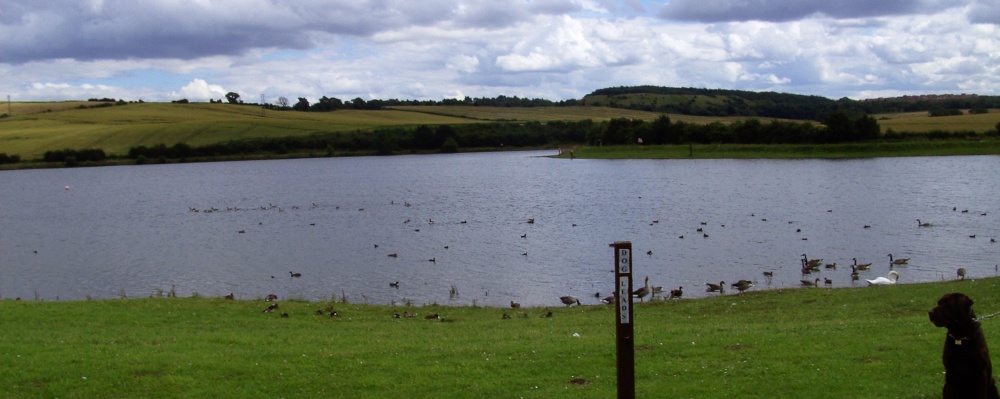 The Walk photo by Barbara Whiteman