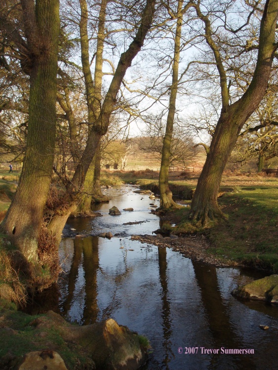 Bradgate Park, Leicester