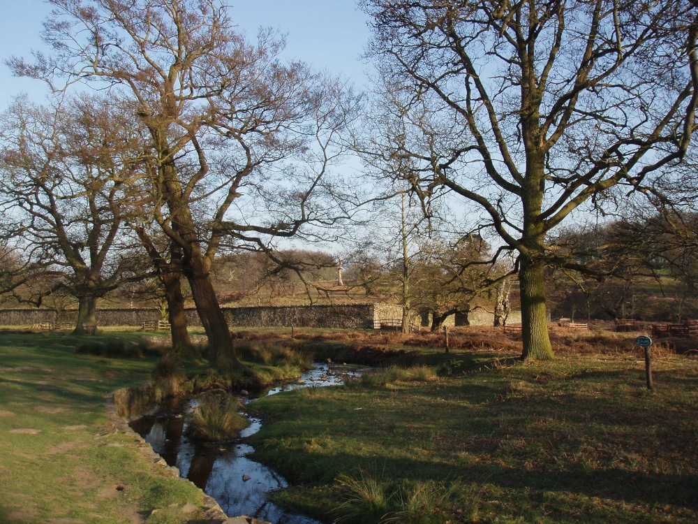 Bradgate Park, Leicester