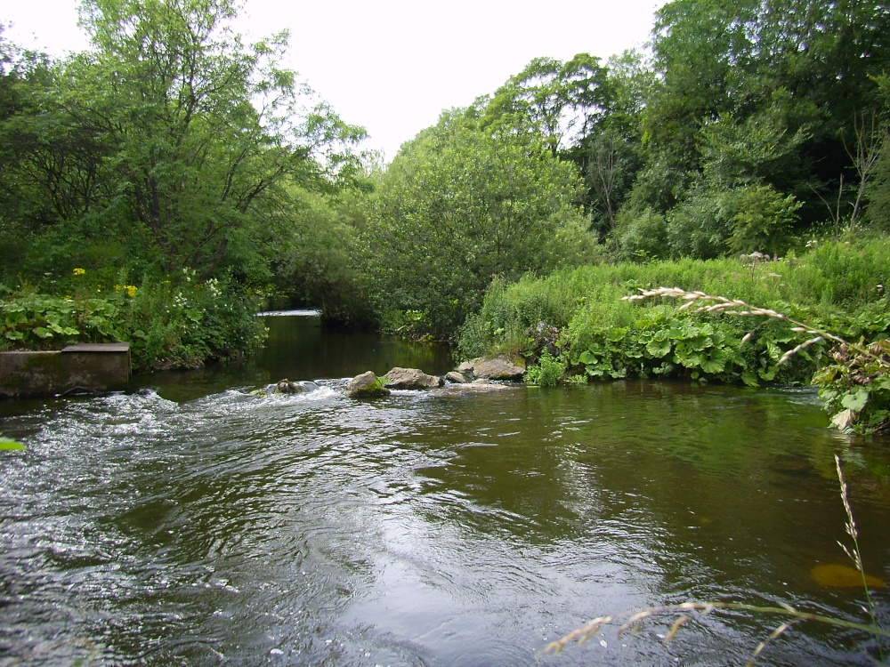Photograph of The River Wye, Miller's Dale, Derbyshire