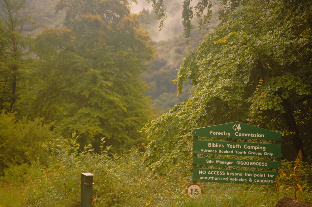 Looking towards biblins bridge, Doward, Herefordshire.