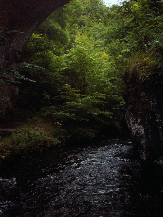 A Bridge Arch on  Wye Dale at dusk