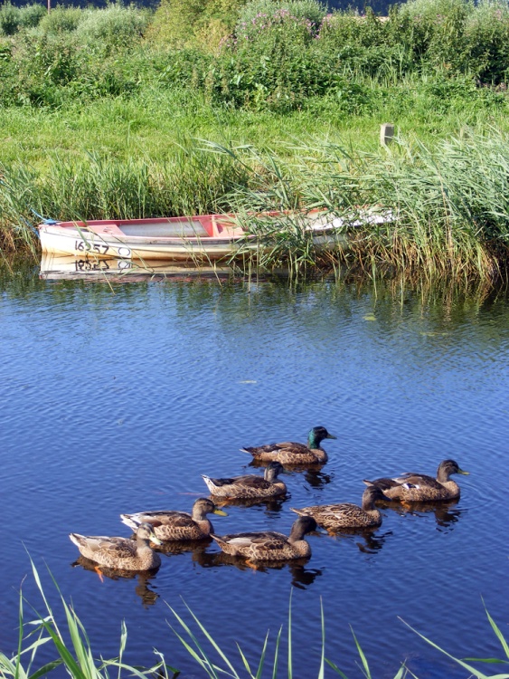 West Somerton, Norfolk