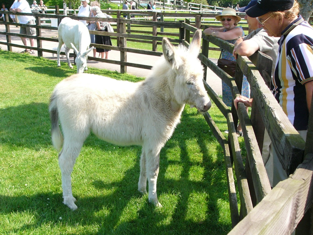 New addition photo by Bpeters