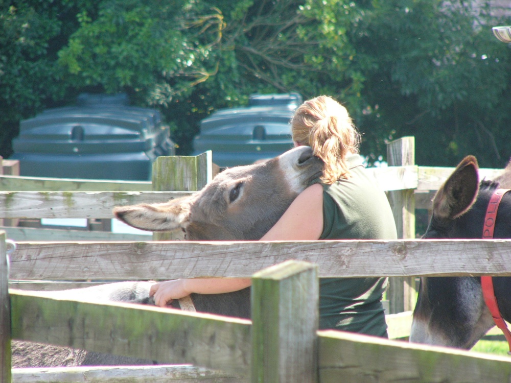 Ahhhh  luuuvvvv yeww photo by Bpeters