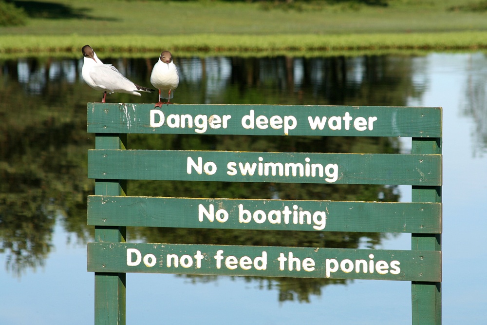 Hatchet Pond in the New Forest