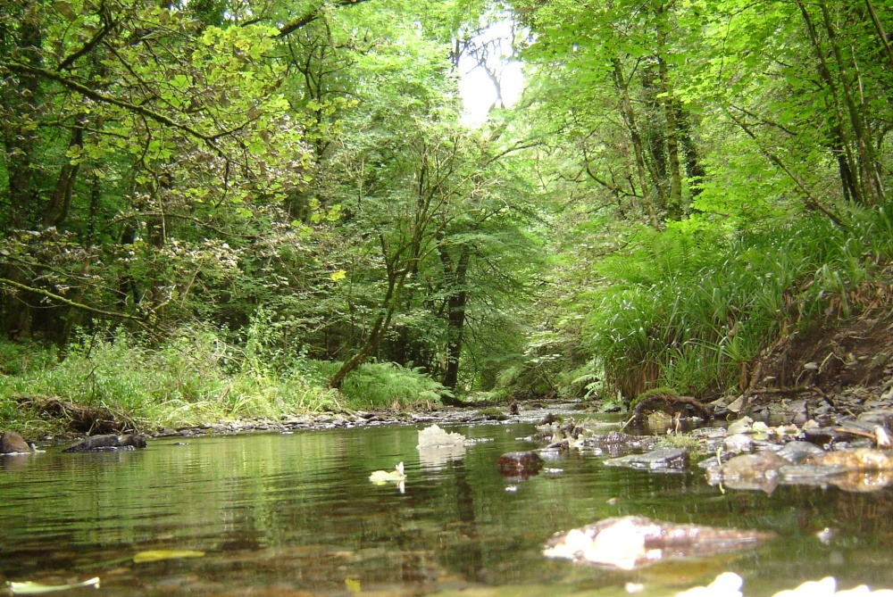Photograph of Lydford Gorge