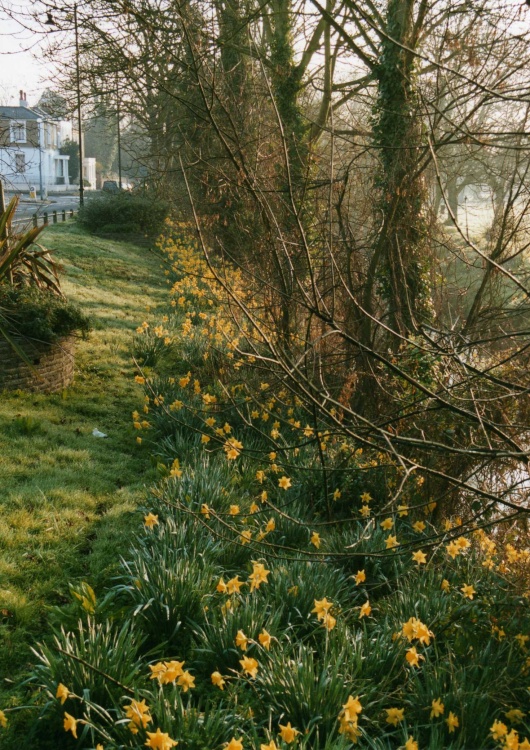 Hope Springs Eternal