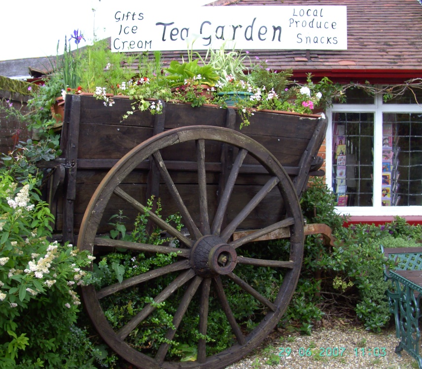 Photograph of Tea Garden at Somerleyton