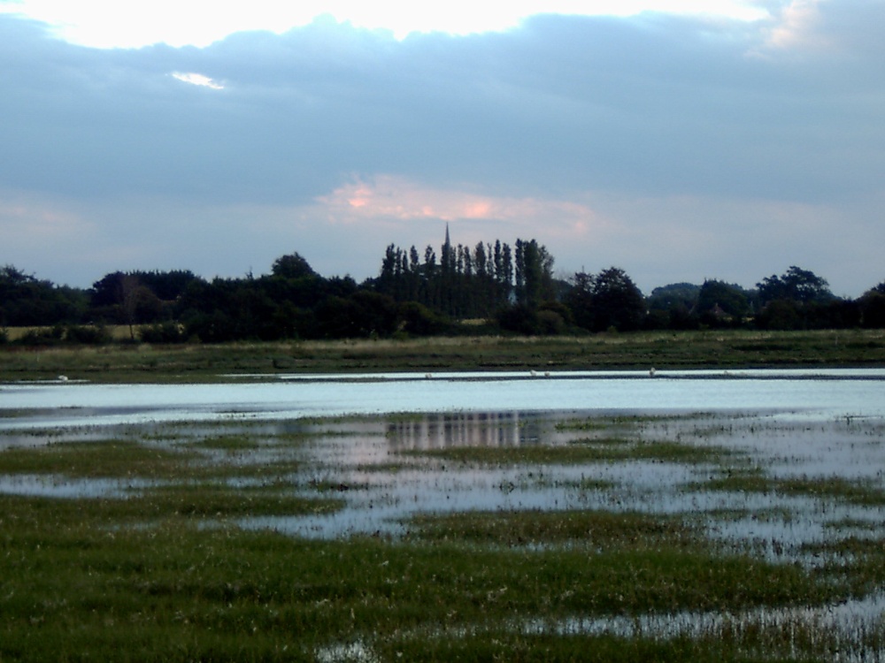 Fishbourne Creek at sunset
