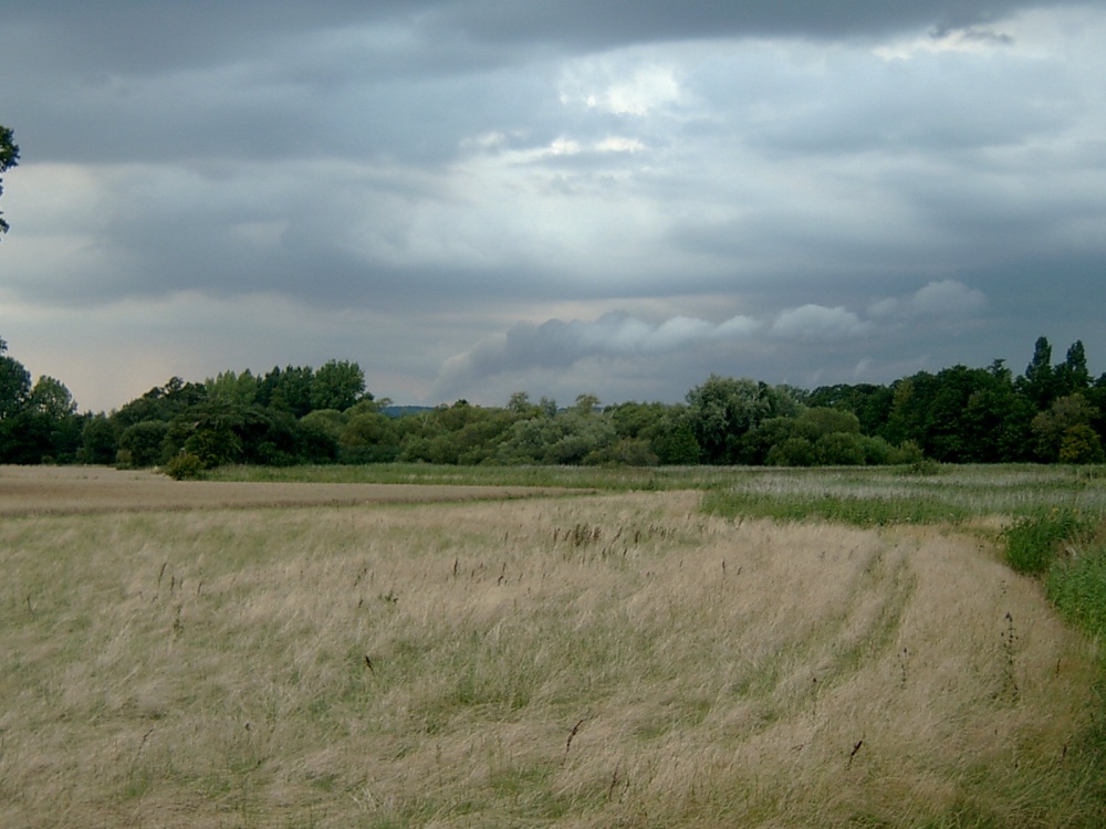 Storm clouds over Fishbourne