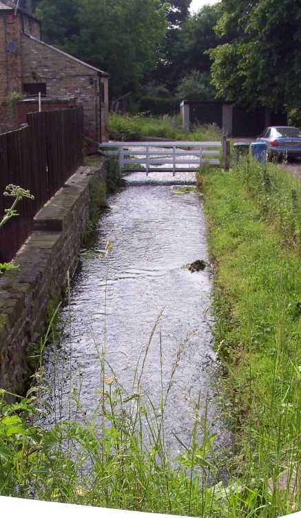 Chesterfield Canal, Scofton, Nottinghamshire
