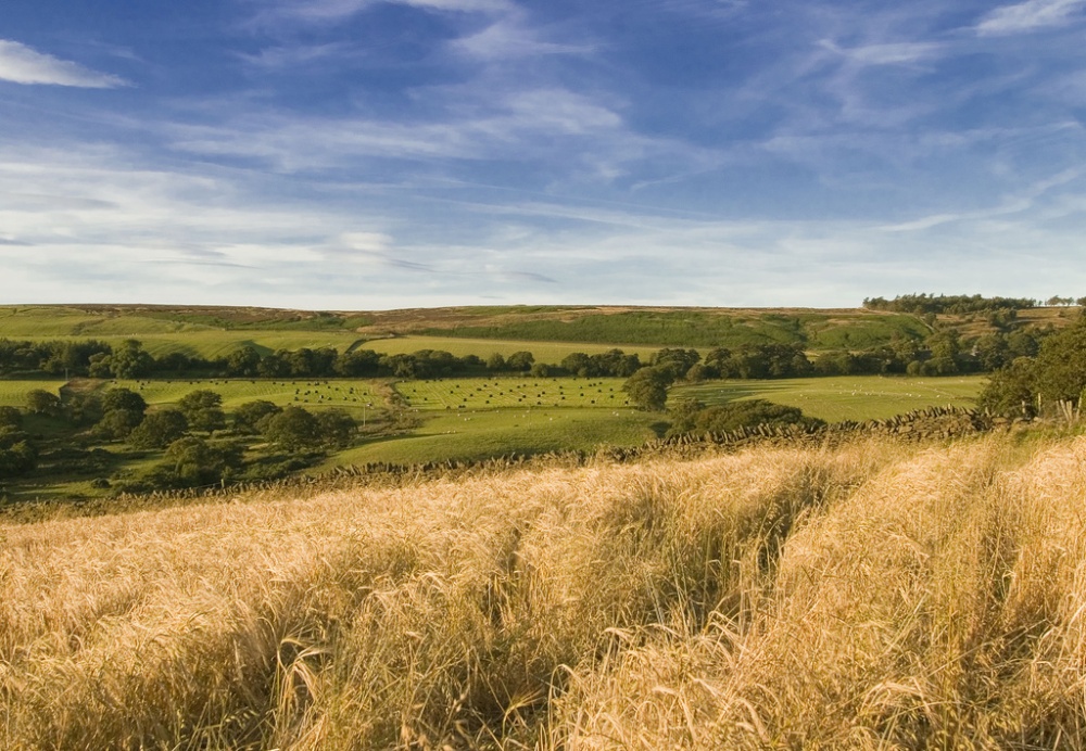 Photograph of Castleside, County Durham