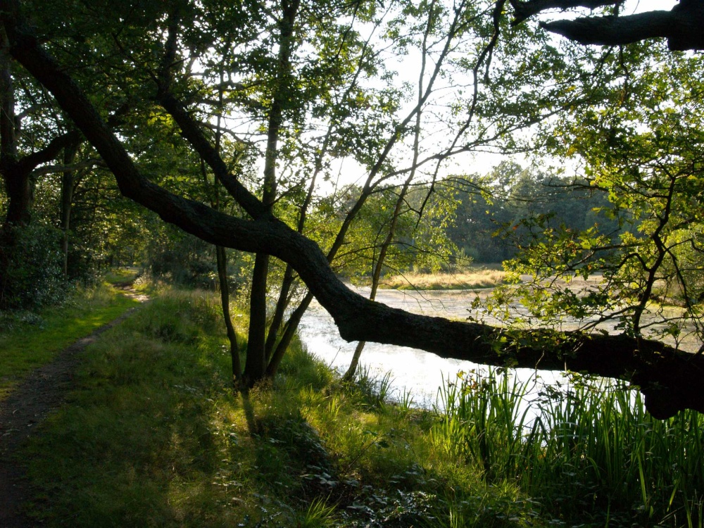 Path by pond on Wimbledon Common, Wimbledon, Greater London