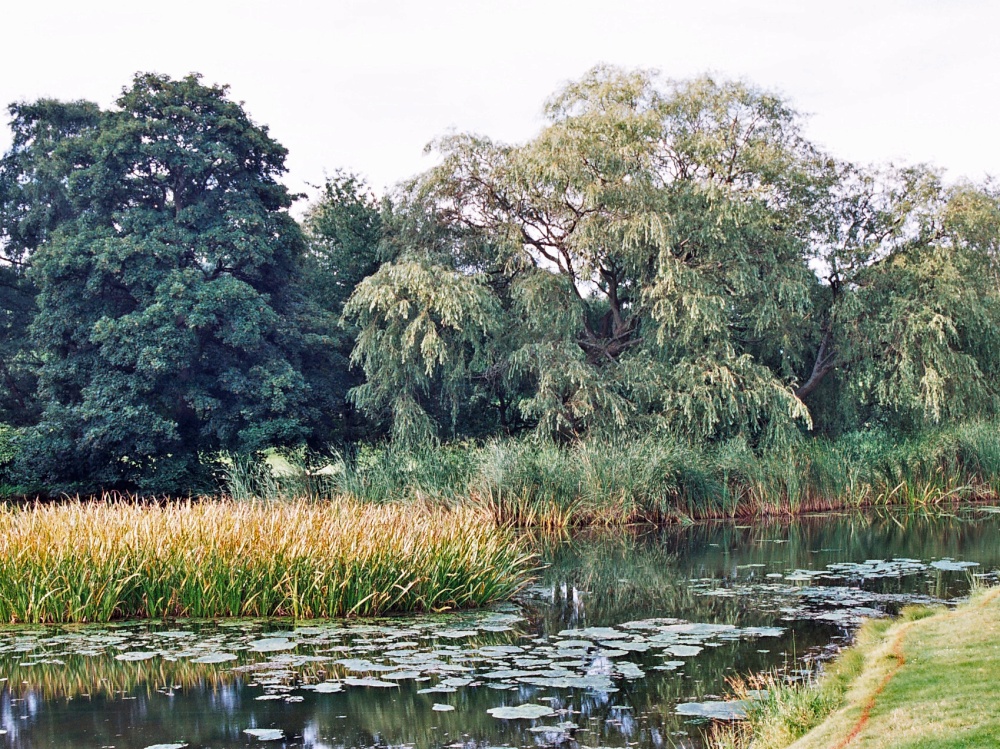 Photograph of Blackwell, Worcestershire