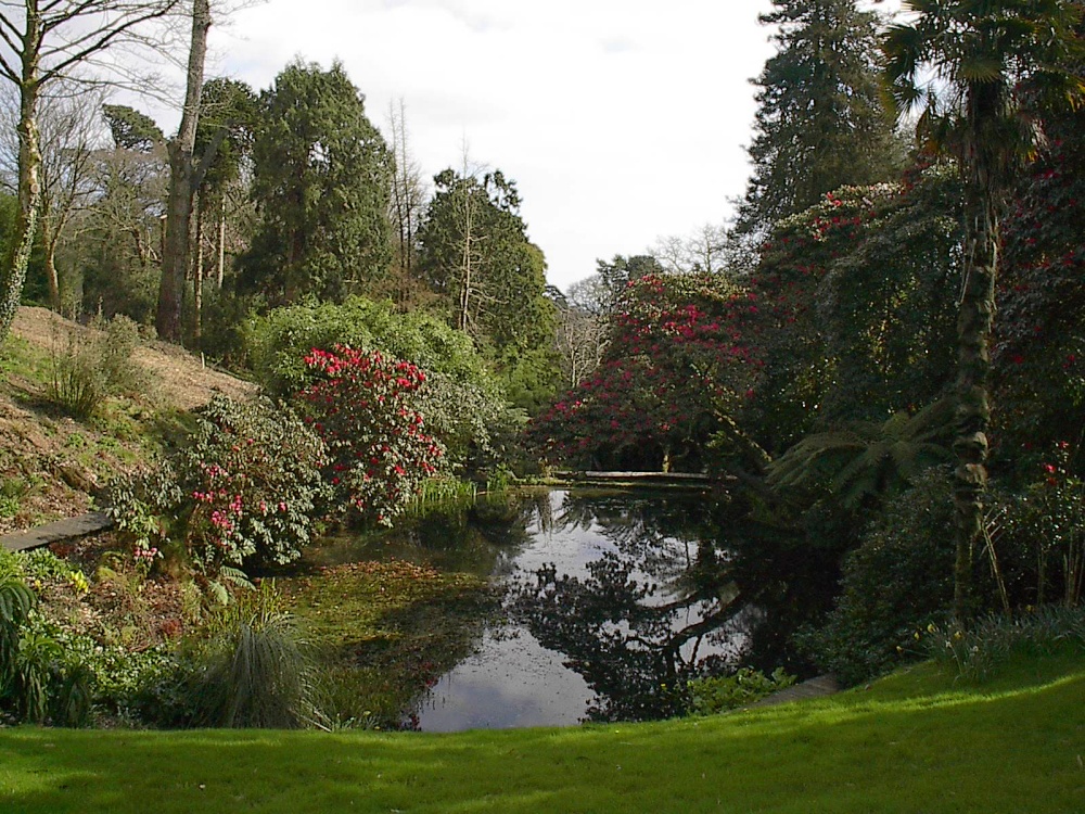 Heligan Gardens, Mevagissey, Cornwall
